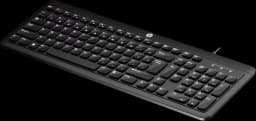 HP K160 Wired Keyboard view 2